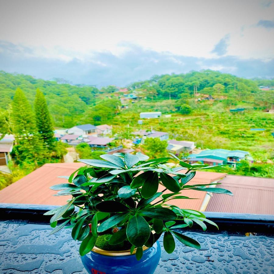 Pine Forest House Dalat Esterno foto